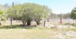 Massive Workshop on Smallholding