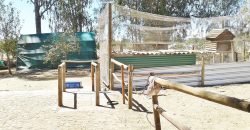 Amazing Value Smallholding