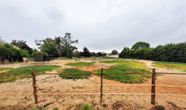 Make an Offer on this Smallholding